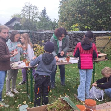 WhatsApp Image 2025-11-06 at 07.51.48-2