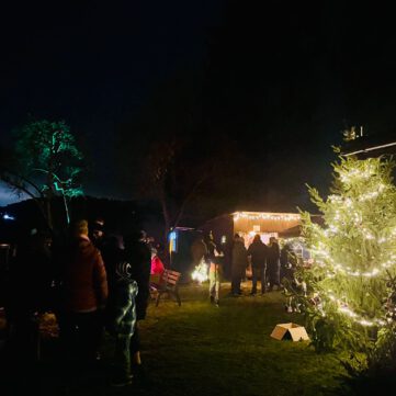 WhatsApp Image 2025-11-29 at 21.25.12