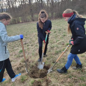 PHOTO-2026-03-24-06-28-54