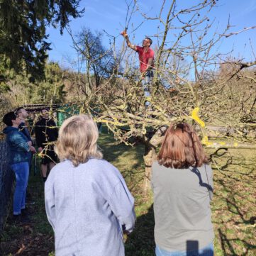 WhatsApp Image 2026-03-07 at 17.20.49-3